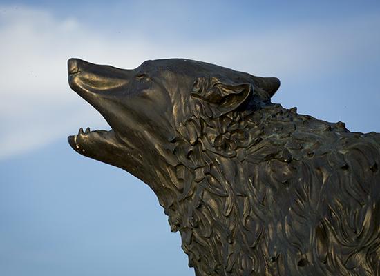 Bronze 在线博彩 Wolf Statue.